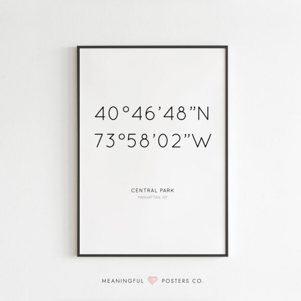 Custom Coordinates Poster