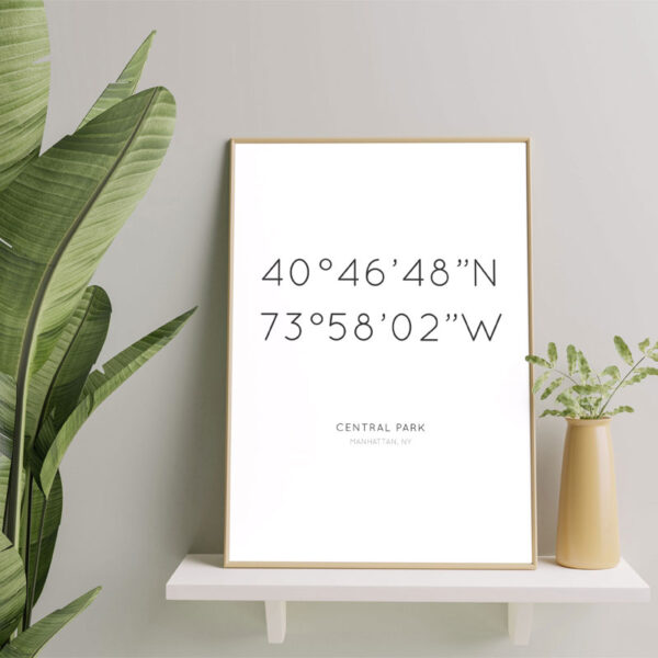 Custom Coordinates Poster